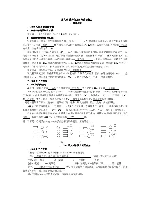 沪科版生命科学高二上第六章《遗传信息的传递和表达》练习