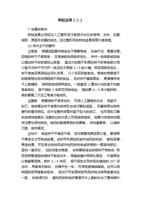 树桩盆景（三）