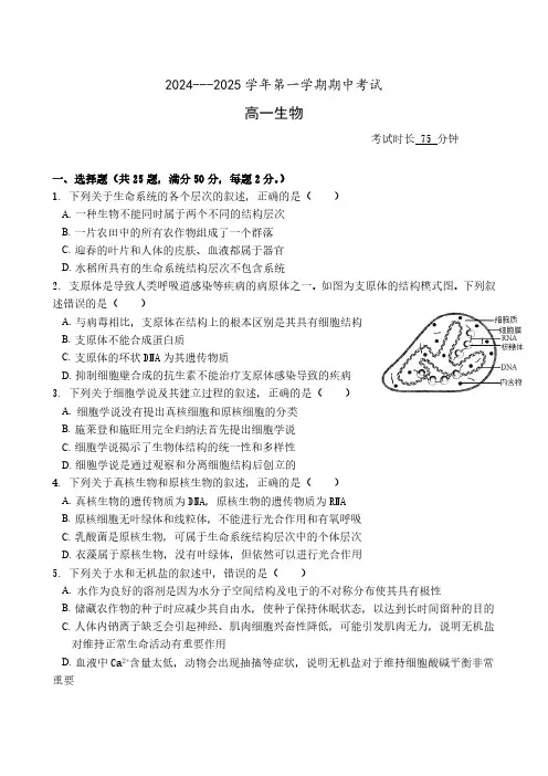 福建省厦门市湖滨中学2024-2025学年高一上学期期中考试生物试题
