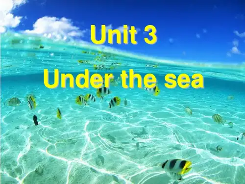选修7 unit3 单词(课堂PPT)