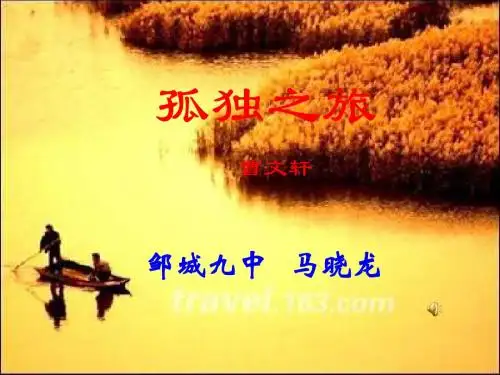 九年级语文孤独之旅2(新编201908)