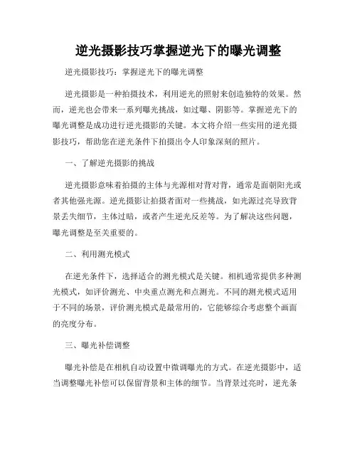 逆光摄影技巧掌握逆光下的曝光调整