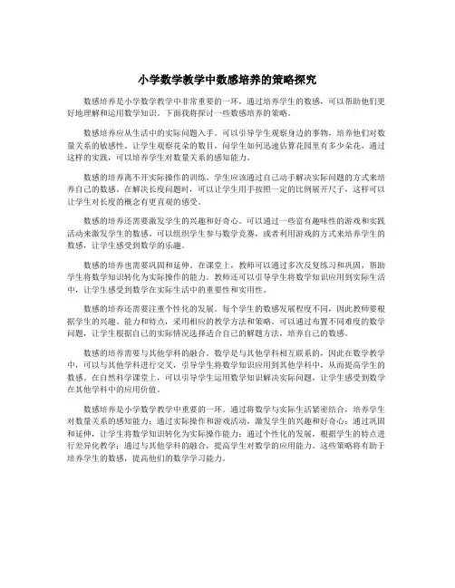 小学数学教学中数感培养的策略探究