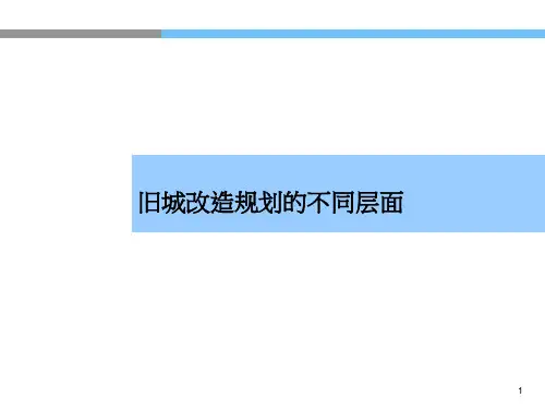 对旧城改造项目的理解和案例