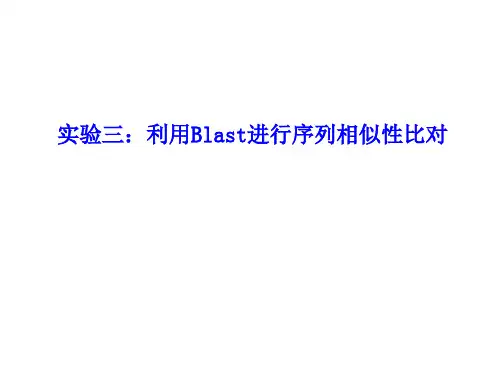 实验三：利用Blast进行序列相似性比对(1)
