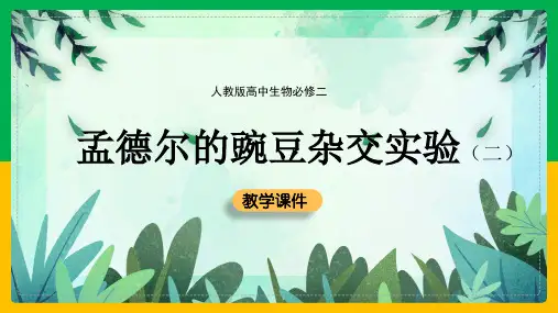 高中生物人教版必修二《孟德尔的豌交实验(二)》课件
