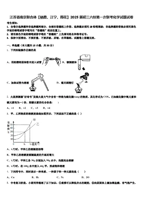 江苏省南京联合体【栖霞、江宁、雨花】2025届初三六校第一次联考化学试题试卷含解析