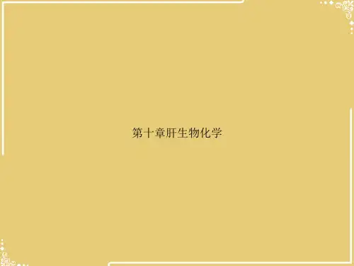 第十章肝生物化学【共61张PPT】