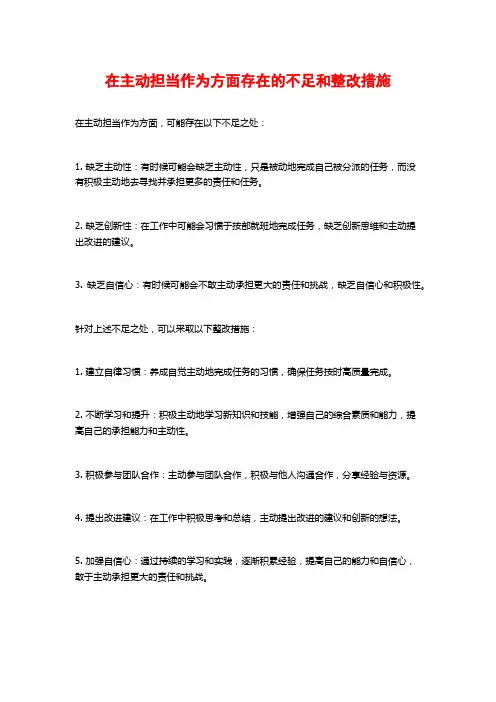 在主动担当作为方面存在的不足和整改措施