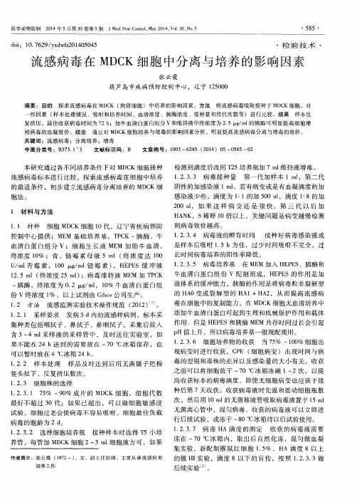 流感病毒在MDCK细胞中分离与培养的影响因素