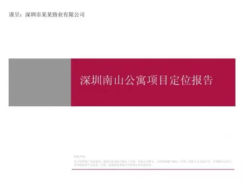 深圳南山公寓项目定位报告