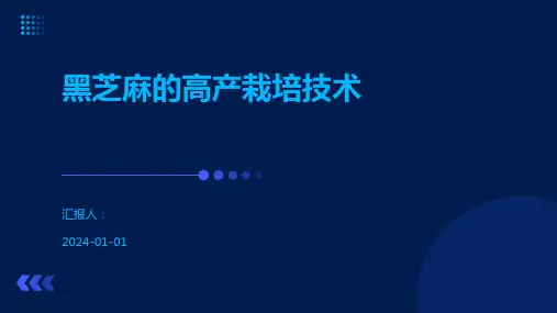 黑芝麻的高产栽培技术