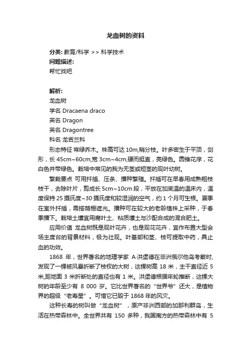 龙血树的资料