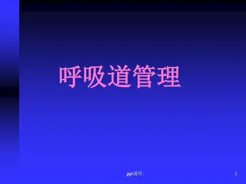 呼吸道管理ppt课件