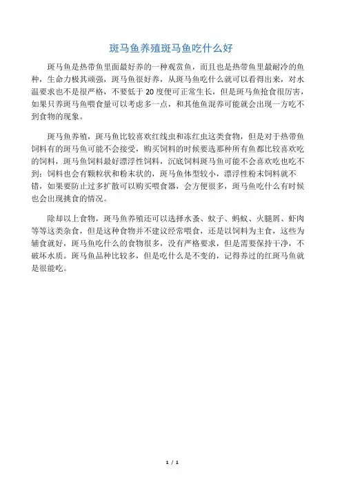斑马鱼养殖斑马鱼吃什么好