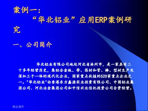 ERP实施成功案例ppt课件