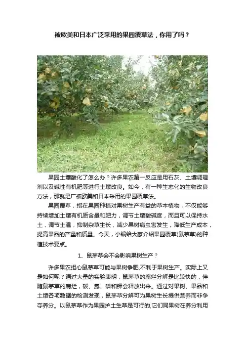 被欧美和日本广泛采用的果园覆草法，你用了吗？