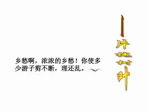 一片槐树叶教学课件