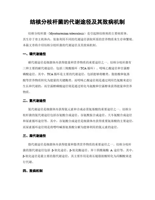 结核分枝杆菌的代谢途径及其致病机制