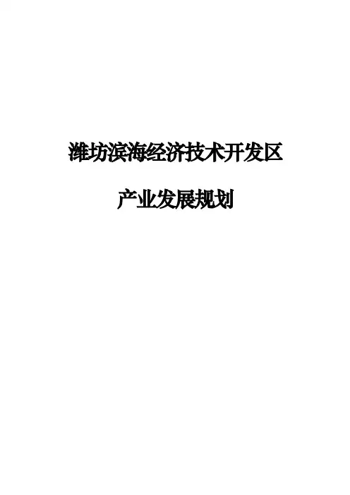 潍坊滨海新经济技术开发区产业发展规划