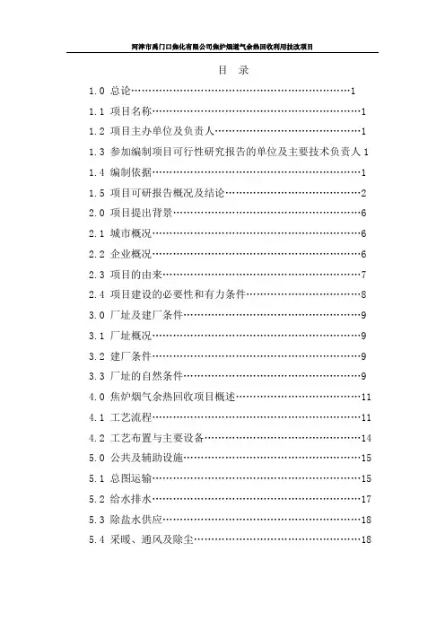 公司焦炉烟道气余热回收利用技改项目可行性研究报告