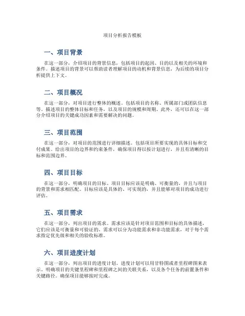 项目分析报告怎么写模板