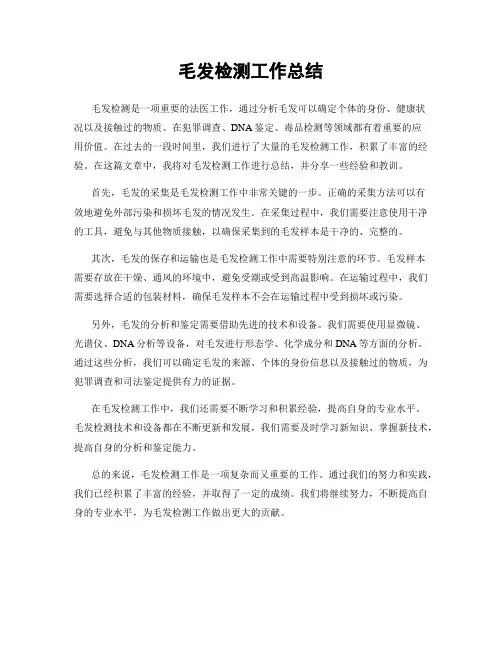 毛发检测工作总结