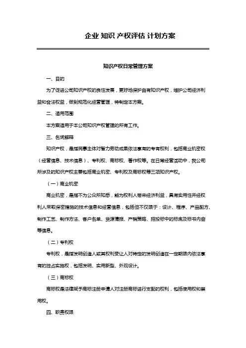 企业 知识 产权评估 计划方案