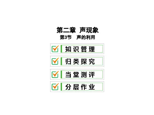2.3 声的利用—2020秋人教版八年级物理上册课件(共30张PPT)