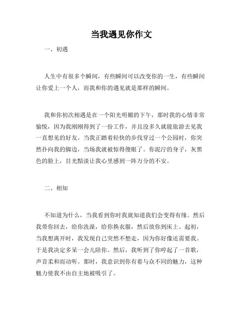 当我遇见你作文