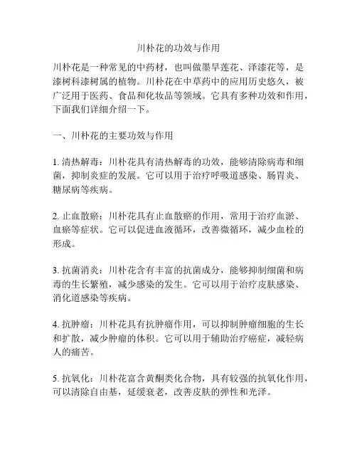 川朴花的功效与作用
