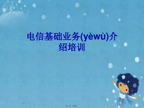 电信基础业务介绍培训