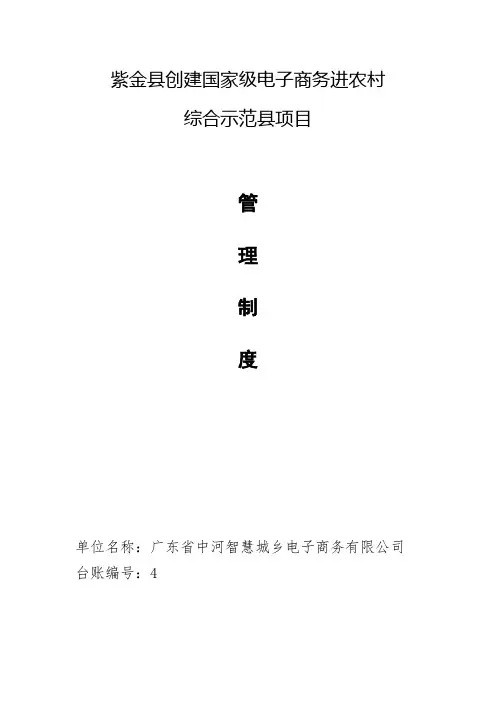 国家级电子商务进农村综合示范项目验收台账管理制度资料台账