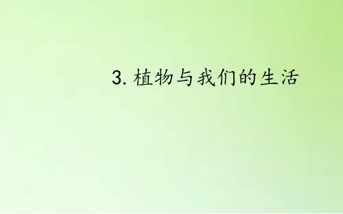 三年级下3植物与我们的生活 冀人版