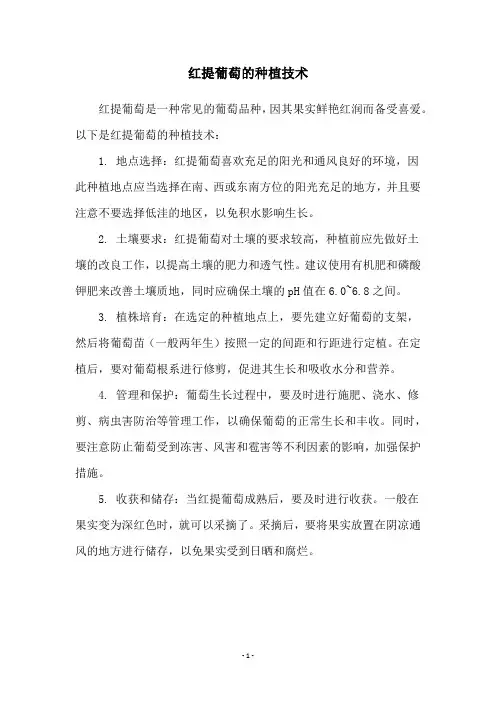 红提葡萄的种植技术