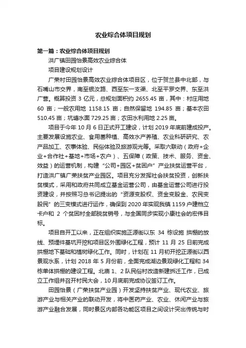 农业综合体项目规划