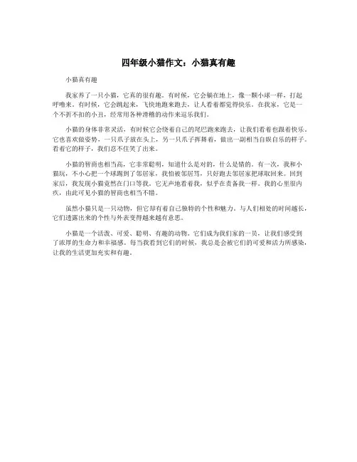 四年级小猫作文：小猫真有趣