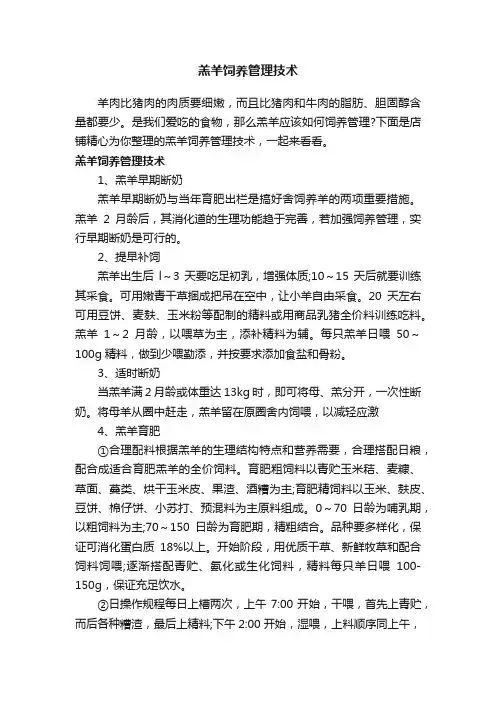 羔羊饲养管理技术