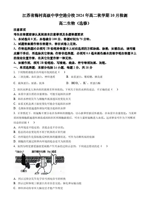 江苏省梅村高级中学空港校区2024-2025学年高二上学期10月检测生物试题(无答案)