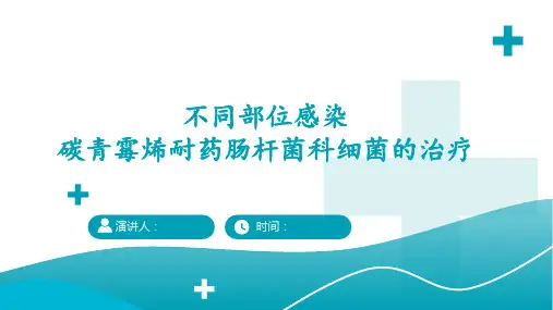 不同部位感染碳青霉烯耐药肠杆菌科细菌的治疗(二)