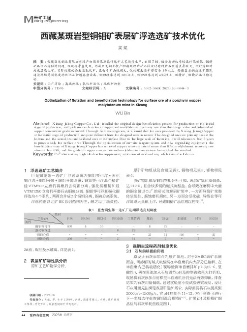 西藏某斑岩型铜钼矿表层矿浮选选矿技术优化
