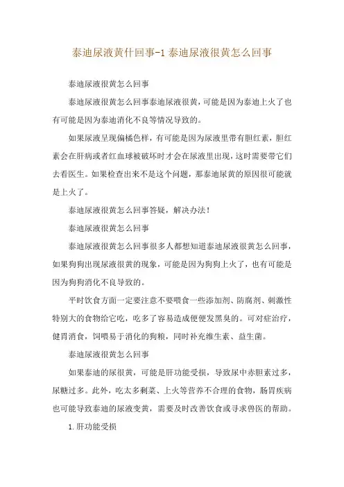 泰迪尿液黄什回事-1泰迪尿液很黄怎么回事