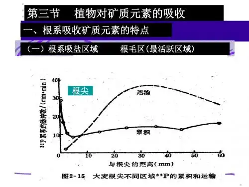 第三节 植物对矿质元素的吸收