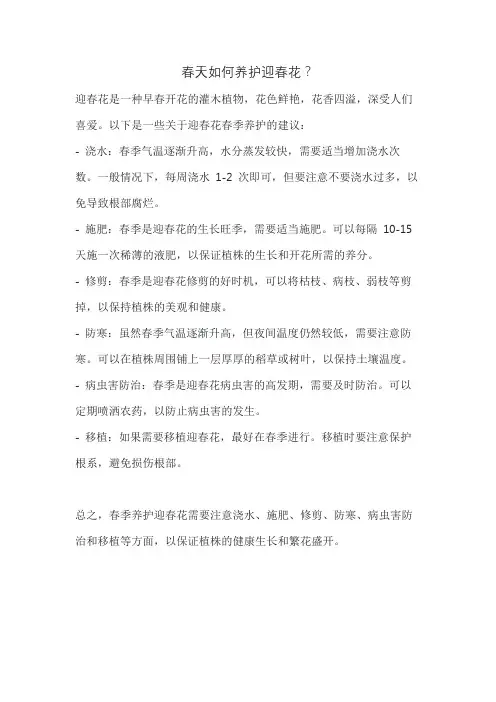 春天如何养护迎春花？