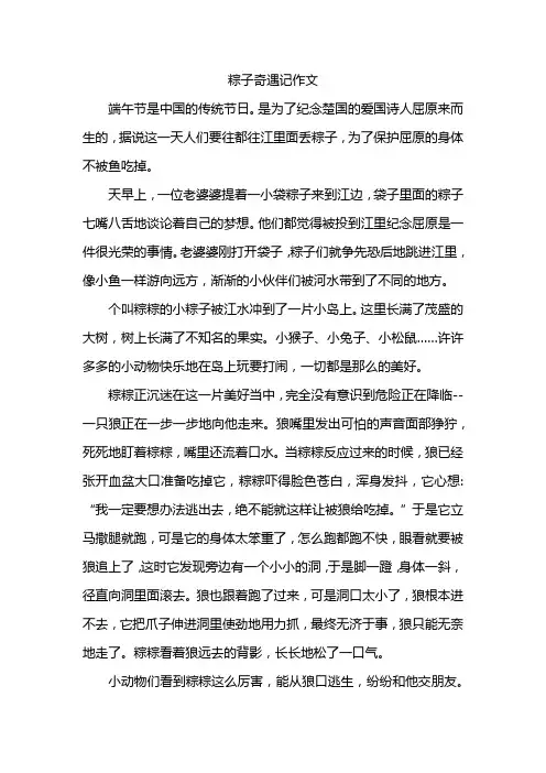 粽子奇遇记作文