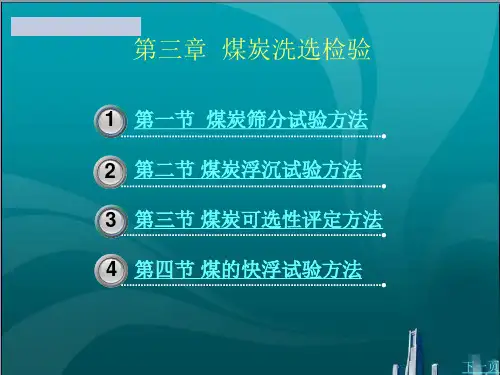 煤炭洗选检验