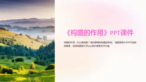 《构图的作用》课件
