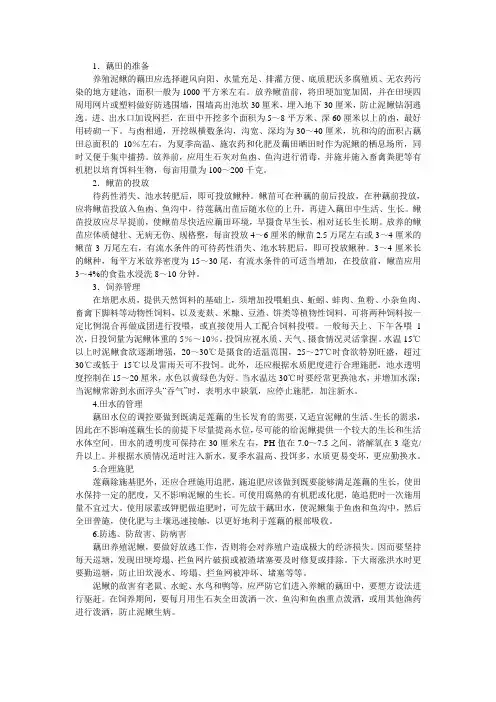 泥鳅与莲藕养殖