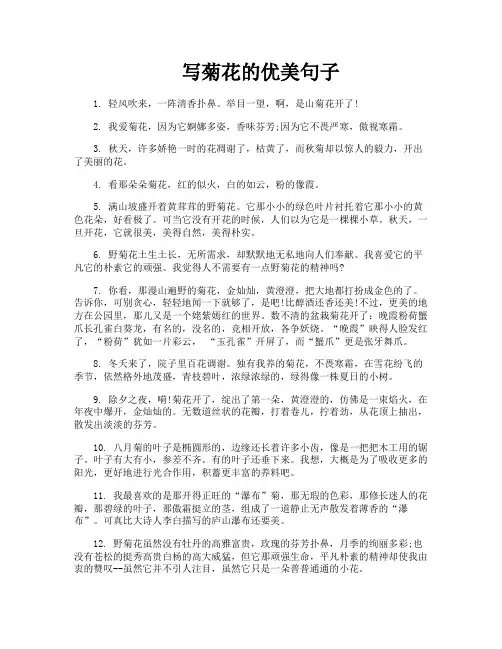 写菊花的优美句子