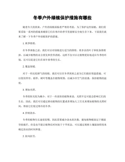 冬季户外绿植保护措施有哪些